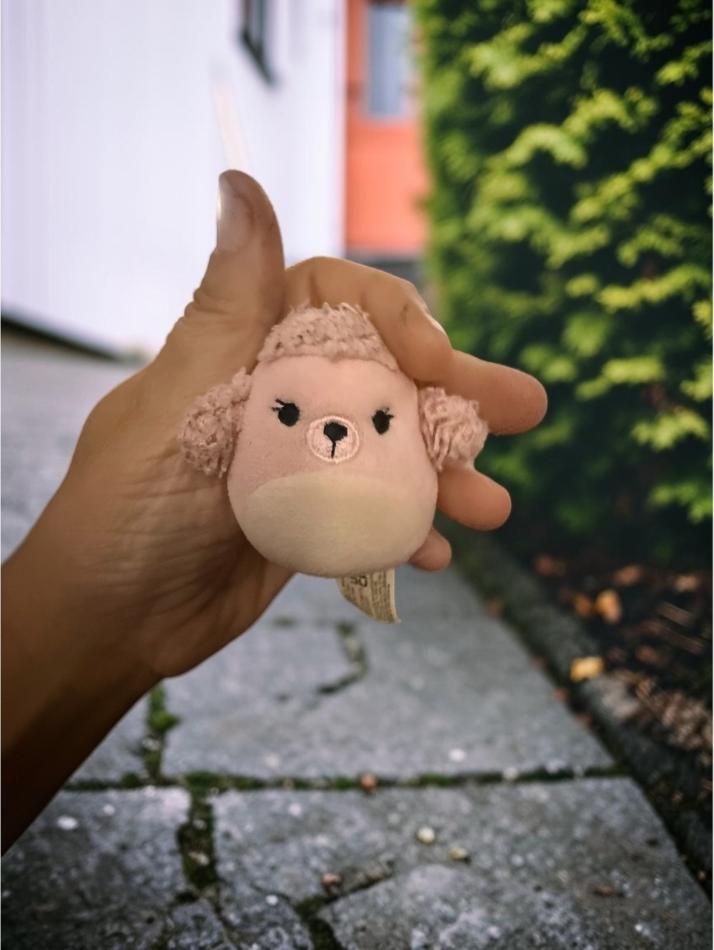 Squishmallows Chloee Pink Poodle Holiday Micromallows Mini Plush